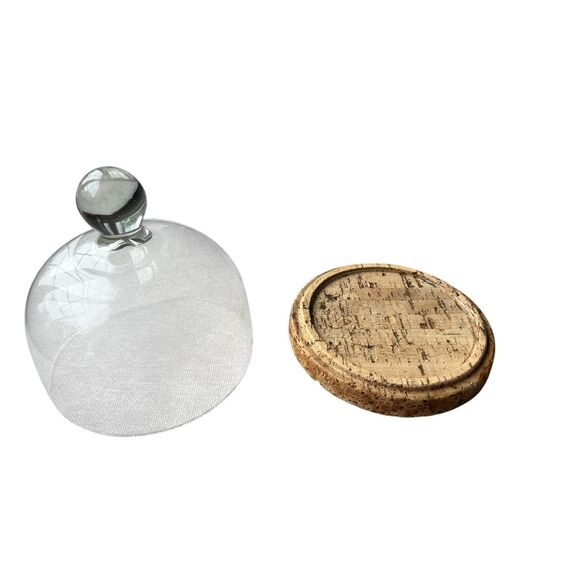 Glass Dome with Cork Base – Unused - Picture 2 of 4